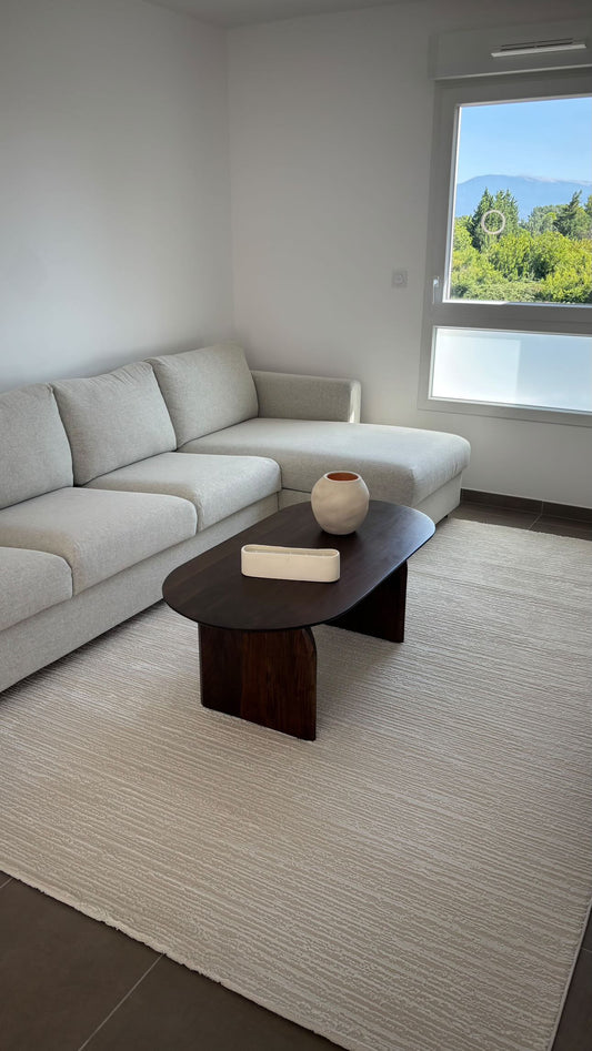 Tapis crème moderne – Pour salon et chambre - SIGNO 04