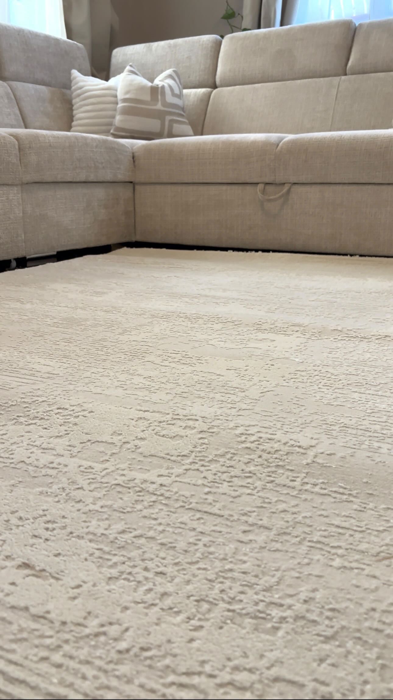 Tapis crème moderne - Pour salon et chambre - SIGNO 05