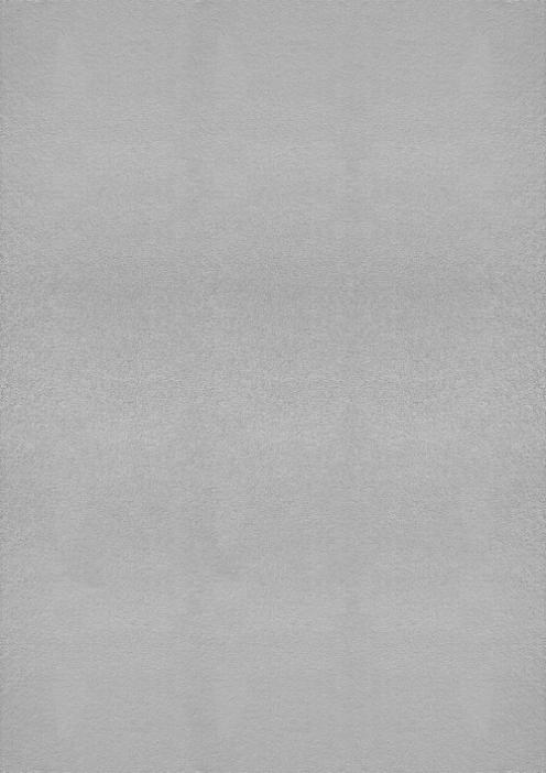 Tapis rectangulaire LOFT gris clair sur fond blanc uni, présentant sa nuance argentée moderne et son design épuré.