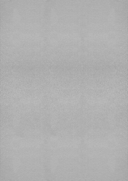 Tapis rectangulaire LOFT gris clair sur fond blanc uni, présentant sa nuance argentée moderne et son design épuré.